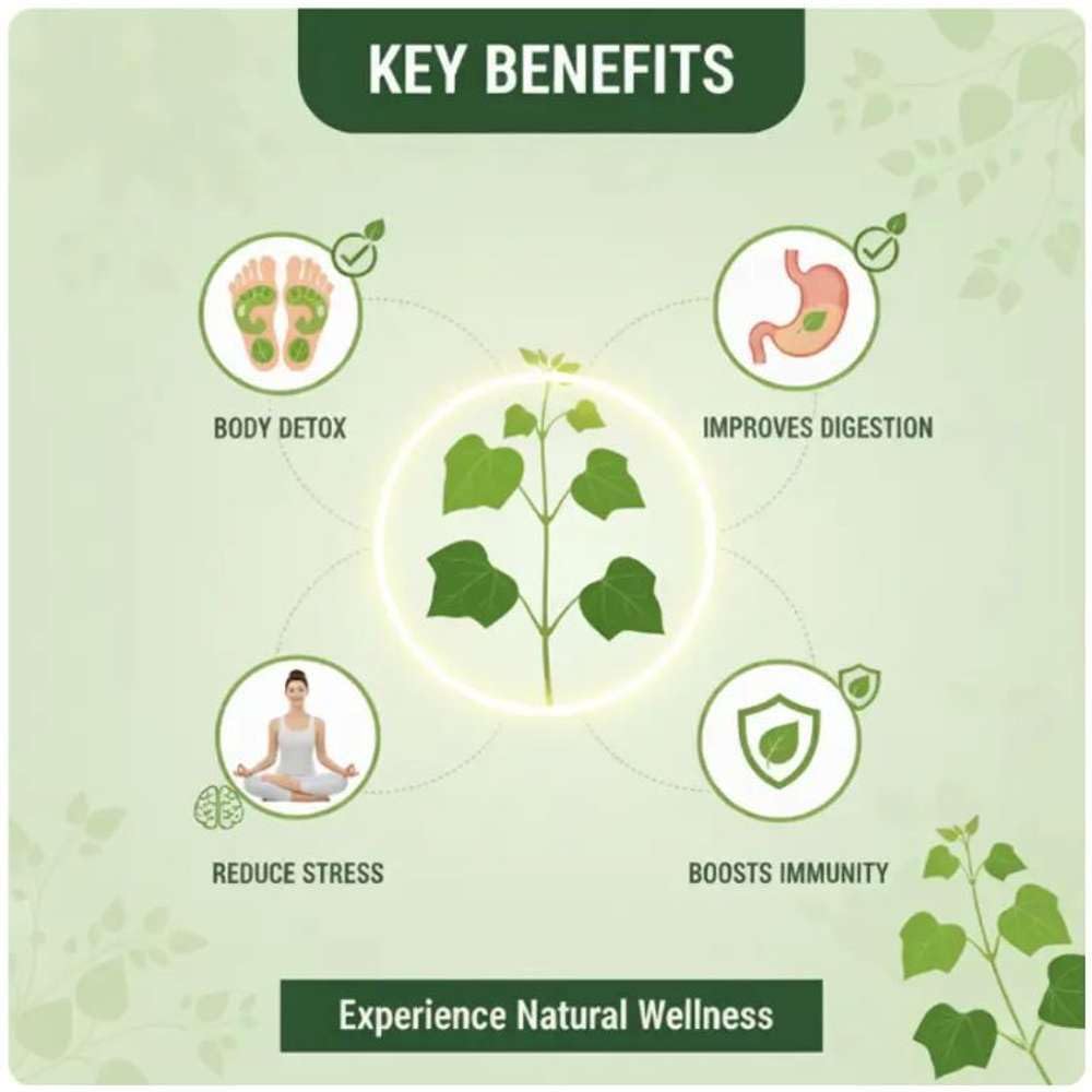 herbal-giloy-detox-body-patch-stress-rel-51LOARgOzfL.jpg