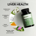 saabhi-liver-detox-supplement-with-milk--71pL8GXXpJL.jpg