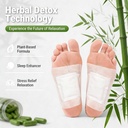 60-pads-herbal-detox-foot-pads-for-toxin-71roze7toHL.jpg