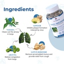 8848-vayu-shuddhi-breathe-cleaner-capsul-612zR8-CiML.jpg