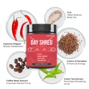 night-shred-support-weight-management-fo-71xO1KmB8WL.jpg