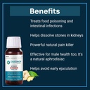 onedrop-wellness-intensive-ginger-herbal-61F1WIYoctL.jpg