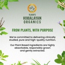 vlado-s-himalayan-organics-milk-thistle--71TJI5IEB9L.jpg