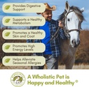 wholistic-pet-organics-equine-complete-h-4.jpg