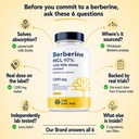 berberine-hcl-97-with-milk-thistle-suppl-71IBszFQ1YL.jpg