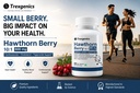 trexgenics-hawthorn-berry-600-mg-cardiov-71wJthwiX-L.jpg