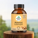 a-tata-product-organic-india-shatavari-1-61d0Vtpk3eL.jpg