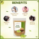 organic-amla-powder-150gm-hair-growth-da-71N+uUf5LtL.jpg