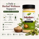 gokshura-powder-organic-tribulus-terrest-714x4MfAL1L.jpg