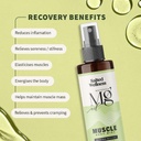 salted-wellness-magnesium-spray-combo-mu-61gp--Hm86L.jpg