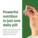 best-probiotics-supplement-3-strains-wit-71017q+g1gL.jpg