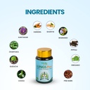 nature-sure-lungs-pure-capsules-for-men--61eMyzUWmaL.jpg
