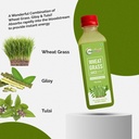 nutriorg-wheat-grass-juice-250ml-natural-716ws9GoN+L.jpg