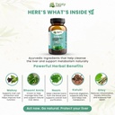 livara-herbal-supplement-for-liver-healt-61Vxjx9yGqL.jpg