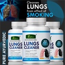 lungs-cleaner-ayurvedic-capsules-for-smo-819aSAFnMWL.jpg