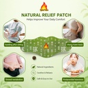 japanese-herbal-balance-patch-for-belly--717MhdY6MQL.jpg