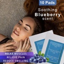 blueberry-kinoki-cleansing-detox-foot-pa-71fQAasNsPL.jpg