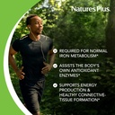 naturesplus-copper-3-mg---90-tablets---s-6.jpg