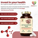 astaxanthin-10mg-capsules-derived-from-h-61sGBU5gIWL.jpg