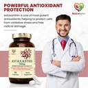astaxanthin-10mg-capsules-derived-from-h-61dh9H1F4ZL.jpg