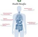foods-for-gut-bifidobacterium-bifidum-pr-4.jpg
