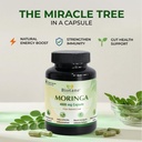 biotane-moringa-4000mg-capsules-only-1-c-71R9vJRMO6L.jpg