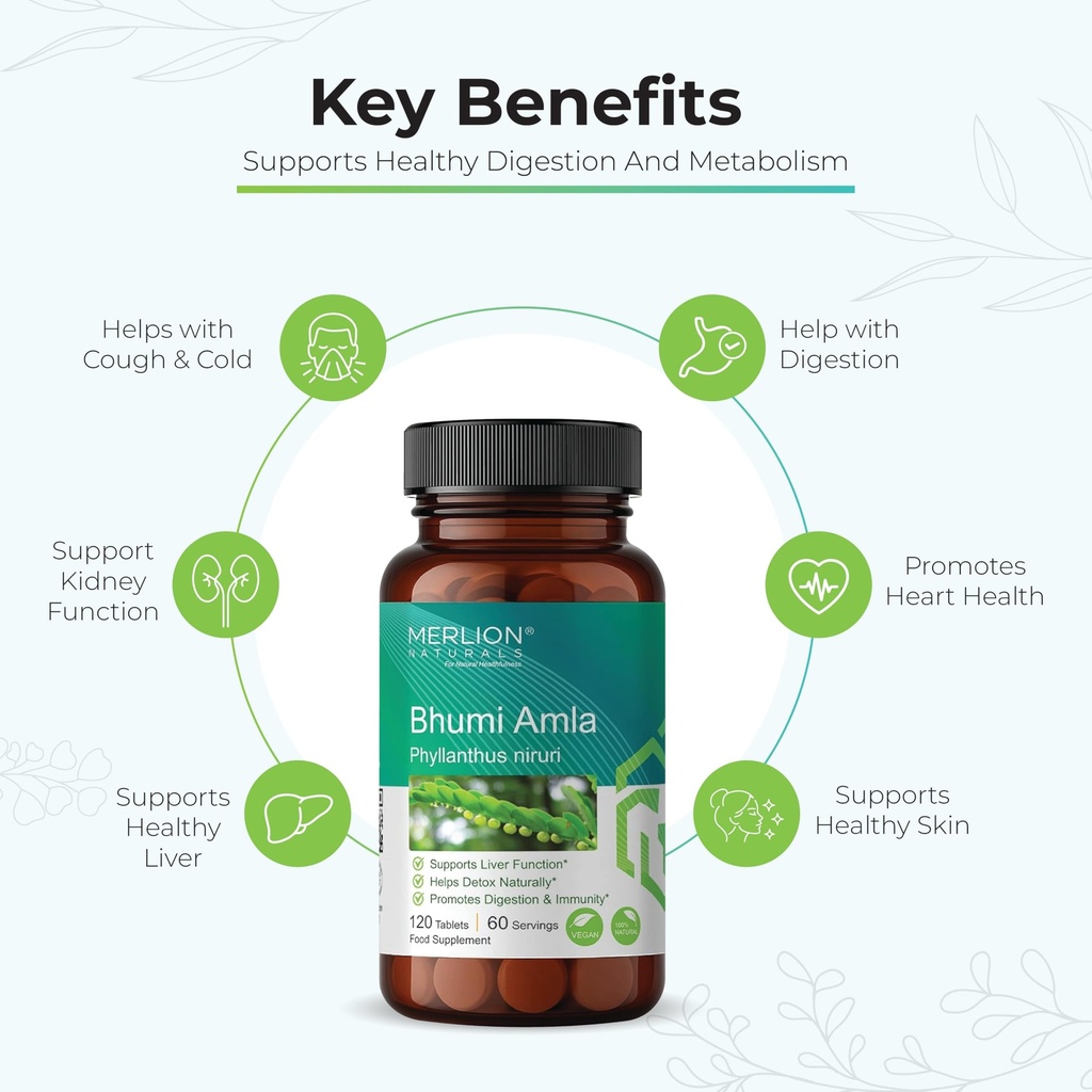 merlion-naturals-bhumi-amla-tablets-phyl-71gmK1JVvtL.jpg