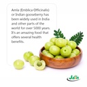 jain-pure-amla-powder-1kg-edible-indian--61Jplz-C7FL.jpg