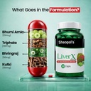 sheopal-s-liver-x-ayurvedic-liver-detox--61QKhsQ4erL.jpg