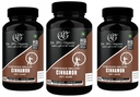 dr-jpg-organic-cinnamon-capsules-60-veg--711yg6qZvXL.jpg