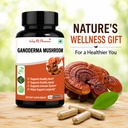 way-of-pleasure-ganoderma-reishi-mushroo-71vnn72TsRL.jpg