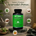 heallungs-60-tablets-ayurvedic-lung-deto-71R2ff4tdwL.jpg