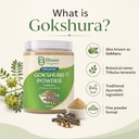 gokshura-tribulus-terrestris-powder-300g-61g5f-JLZBL.jpg