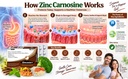 zincasin-plus-leewell-gastric-health-sup-81cDVE3fNDL.jpg