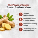 ginger-tablet-organic-herbal-chewable-gi-71IP4jQllDL.jpg