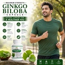 ginkgo-biloba-800mg-capsules-herbal-gink-71Y+mMxyc-L.jpg