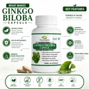 ginkgo-biloba-800mg-capsules-herbal-gink-71T2ZeeeZiL.jpg