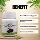 kapikachhu-tablets-500-mg-mucuna-prurien-711U-sxxr8L.jpg