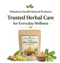 pulendra-amla-powder-100g-natural-nellik-61UxQtlBfjL.jpg