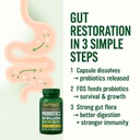 probiotics-50-billion-prebiotic-probioti-619vu+IWTdL.jpg