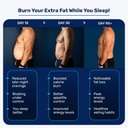 what-s-up-wellness-night-burner-capsules-61LUTCp95xL.jpg