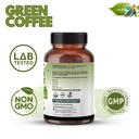 green-coffee-herbs-extract-capsules-1000-7199ZPIiJZL.jpg