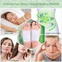 birdline-foot-patches-for-cleansing-remo-71BKvyw3Y1L.jpg