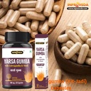 yarsagumba-kit-jadi-capsules-500mg-x-2-c-81udMFNGqOL.jpg