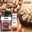 yarsagumba-kitjadi-capsules-500mg-x-2cap-71v2Y5kdxmL.jpg