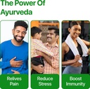 hb-gmp-certified-ayurvedic-health-suppli-71qlYbCiJHL.jpg