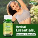 organic-zing-ceylon-cinnamon-supplement--81v4fOd2RoL.jpg
