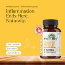 nano-curcumin-capsules-650mg-95-curcumin-81LGtZVb-TL.jpg