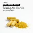 milk-thistle-with-nac-1105mg-antioxidant-71yO4dJ3oBL.jpg