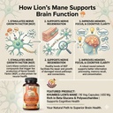 khumbeess-superfoods-lion-s-mane-mushroo-71xpYqequTL.jpg